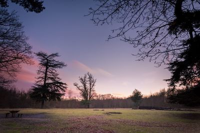 Silhouette trees on field against sky at sunset