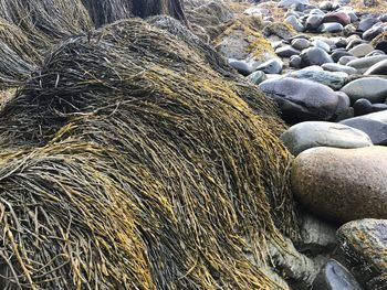 Stack of pebbles on beach