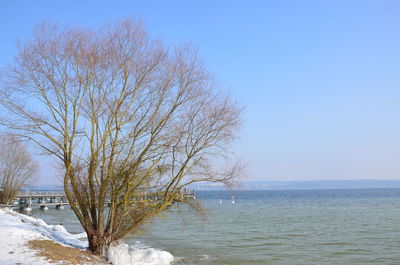 Scenic view of sea against clear sky