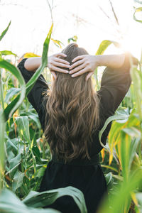 Young long hair woman in sunglasses in sunset corn field, from behind. sensitivity to nature concept