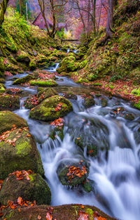 Stream flowing through rocks in forest