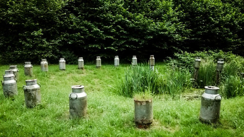 Built structure on field against trees