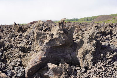 Low angle view of rock formation on land against clear sky