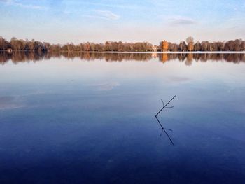 Reflection of trees in calm lake