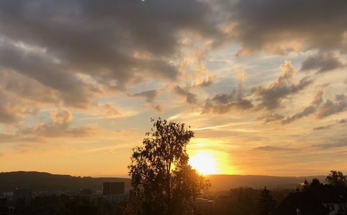 Silhouette trees and buildings against sky during sunset