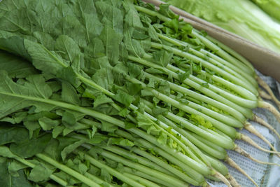 High angle view of vegetables for sale at market stall