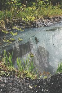 Stream flowing through rocks