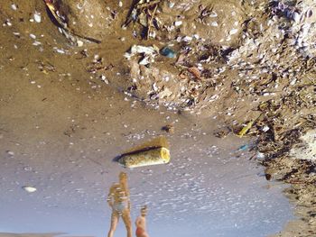 Low section of man in water