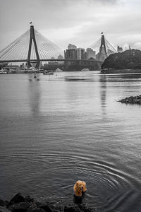 View of suspension bridge over river