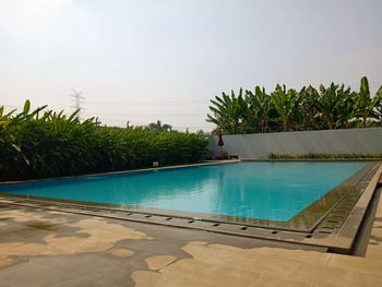 Swimming pool by palm trees against clear sky