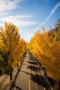 Road amidst trees against sky during autumn