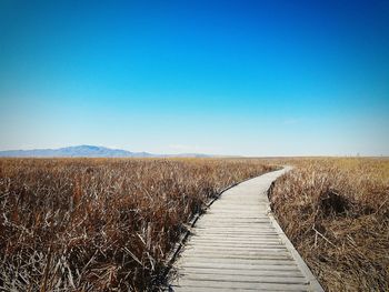 Boardwalk on field against clear blue sky