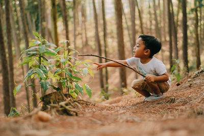 Full length of boy touching plant while crouching in forest