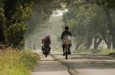 Rear view of man riding bicycle on road