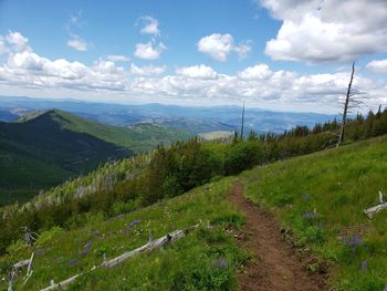 Scenic view of landscape against sky