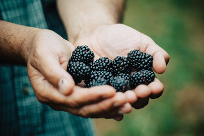 Close-up of woman holding berries