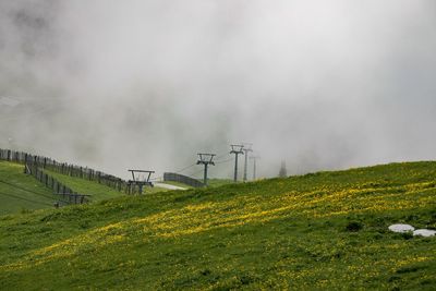 Scenic view of field against sky