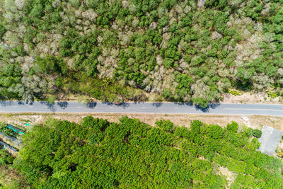 Aerial view of road amidst trees