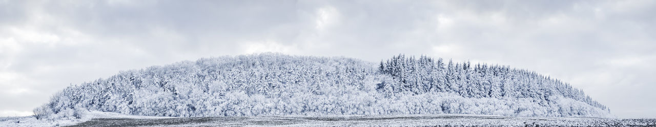 Panoramic view of snow covered trees against sky