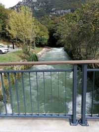 Scenic view of river by trees