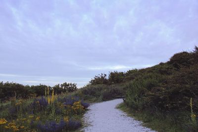 Scenic view of landscape against cloudy sky