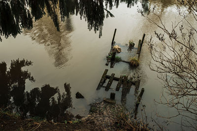 High angle view of trees by lake in forest