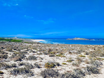 Scenic view of sea against blue sky