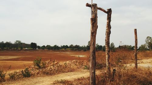 Wooden posts on field against sky