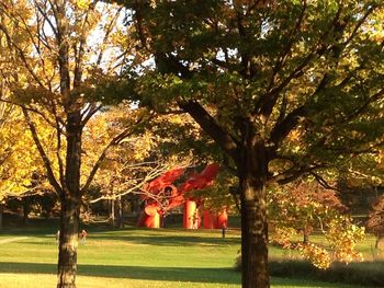 Trees in park