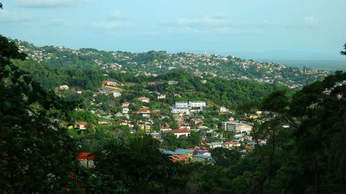 High angle view of houses and trees in town