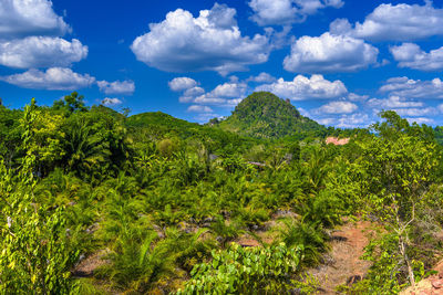 Scenic view of trees and mountains against sky