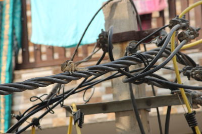 Close-up of barbed wire