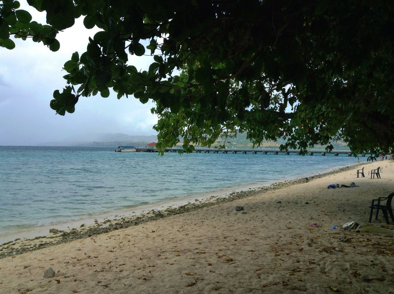 sea, beach, water, tranquil scene, tranquility, horizon over water, scenics, sky, tree, beauty in nature, shore, nature, sand, idyllic, coastline, growth, outdoors, cloud - sky, day, incidental people