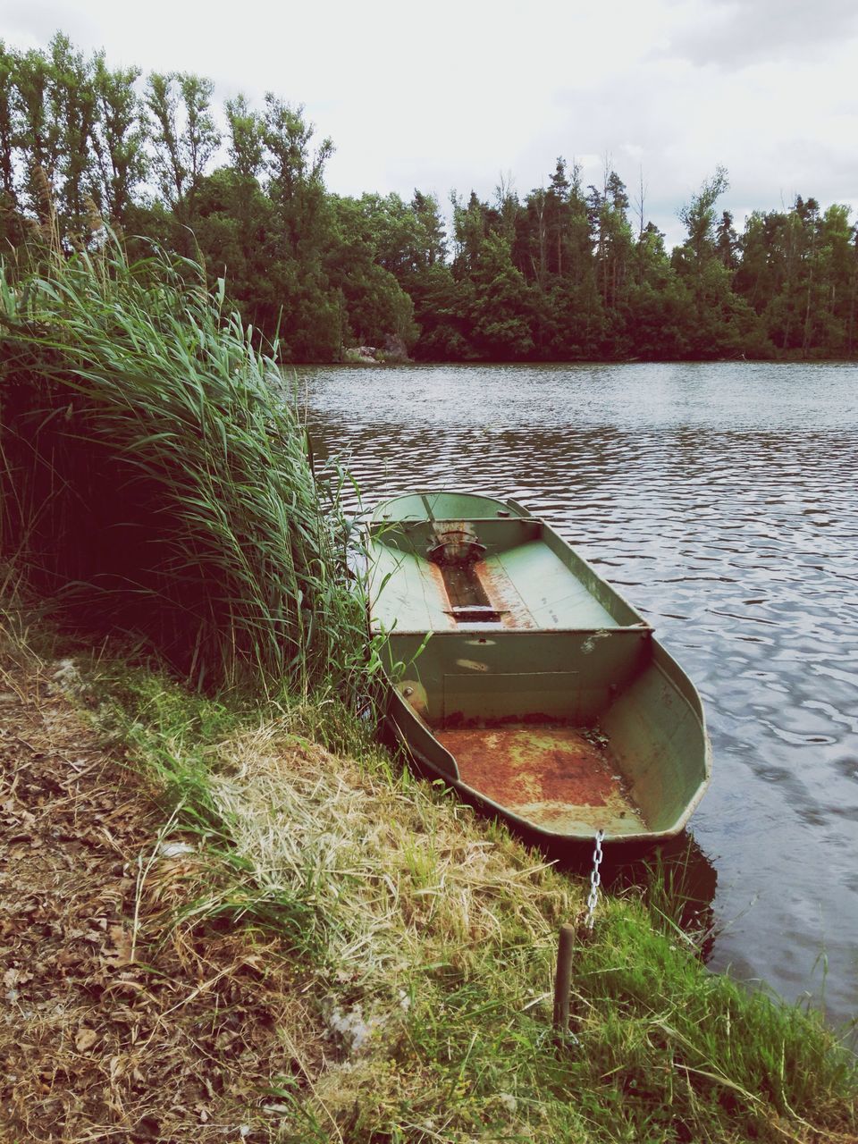 water, tree, tranquility, plant, transportation, boat, nature, moored, nautical vessel, day, sky, tranquil scene, built structure, absence, growth, outdoors, no people, sea, beach, lake