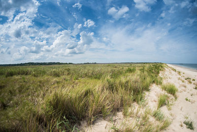 Scenic view of land against sky