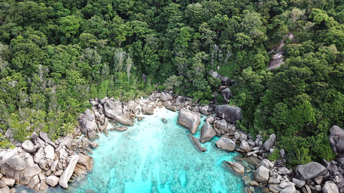 High angle view of swimming pool by trees