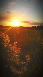 Scenic view of landscape at sunset