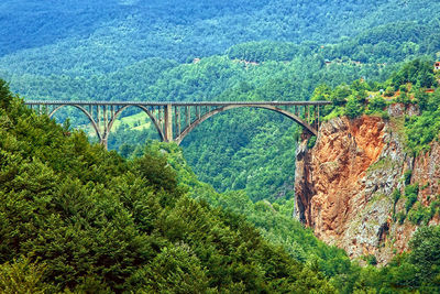 Scenic view of bridge by tree mountains