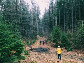 Friends hiking on pathway amidst trees in forest