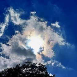 Low angle view of tree against sky