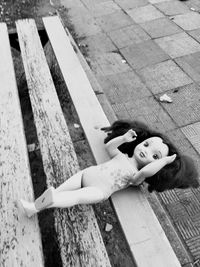 High angle view of doll on bench