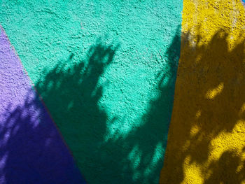 Close-up of shadow on leaf