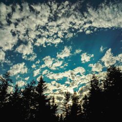 Low angle view of trees against cloudy sky