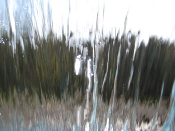 Close-up of water drops on grass against sky