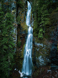 Waterfall in forest