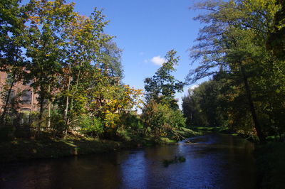 Scenic view of river amidst trees against sky