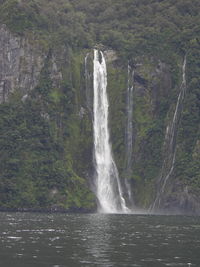 Scenic view of waterfall in forest