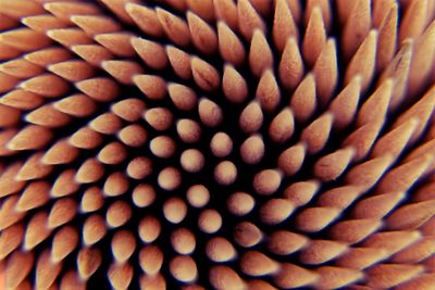 Full frame shot of pattern