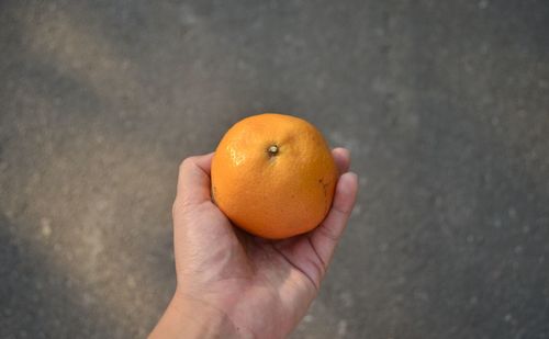 Close-up of hand holding orange fruit