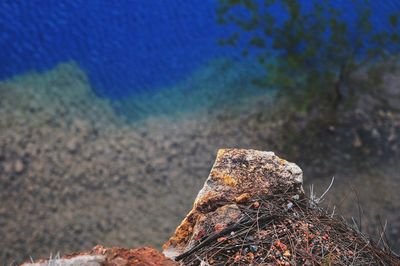 Close-up of rusty metal on beach